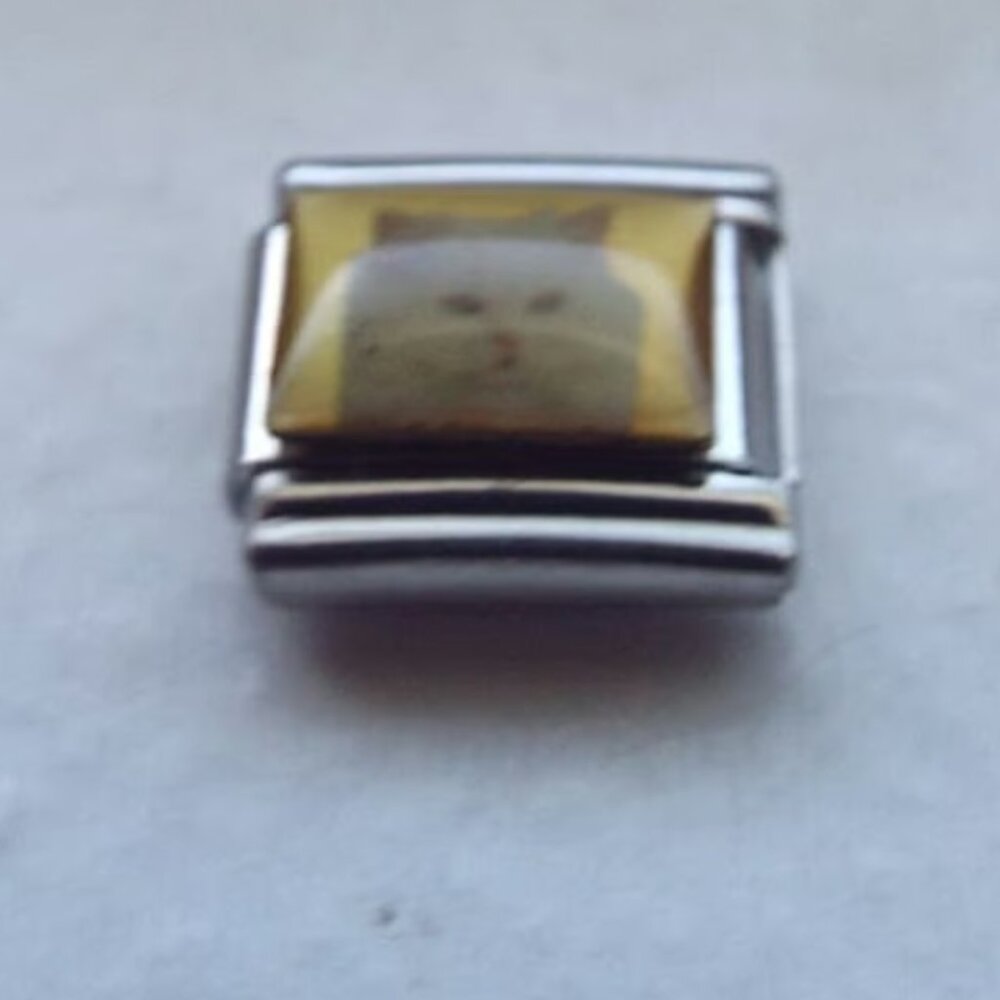 White Persian cat "Judgy Cat" 9mm stainless steel Italian charm bracelet link